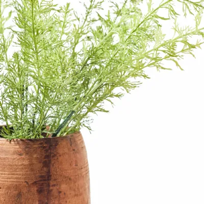 Faux Stem Dill White Green