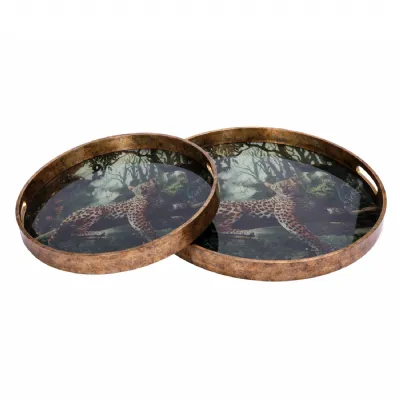 Lounging Leopard S 2 Trays