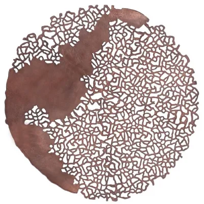 Apo Coral Raw Bronze Wall Plaque