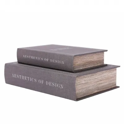 Aesthetics of Design Set of 2 Book Boxes Grey