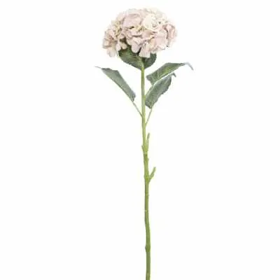 Artificial Plants And Flowers